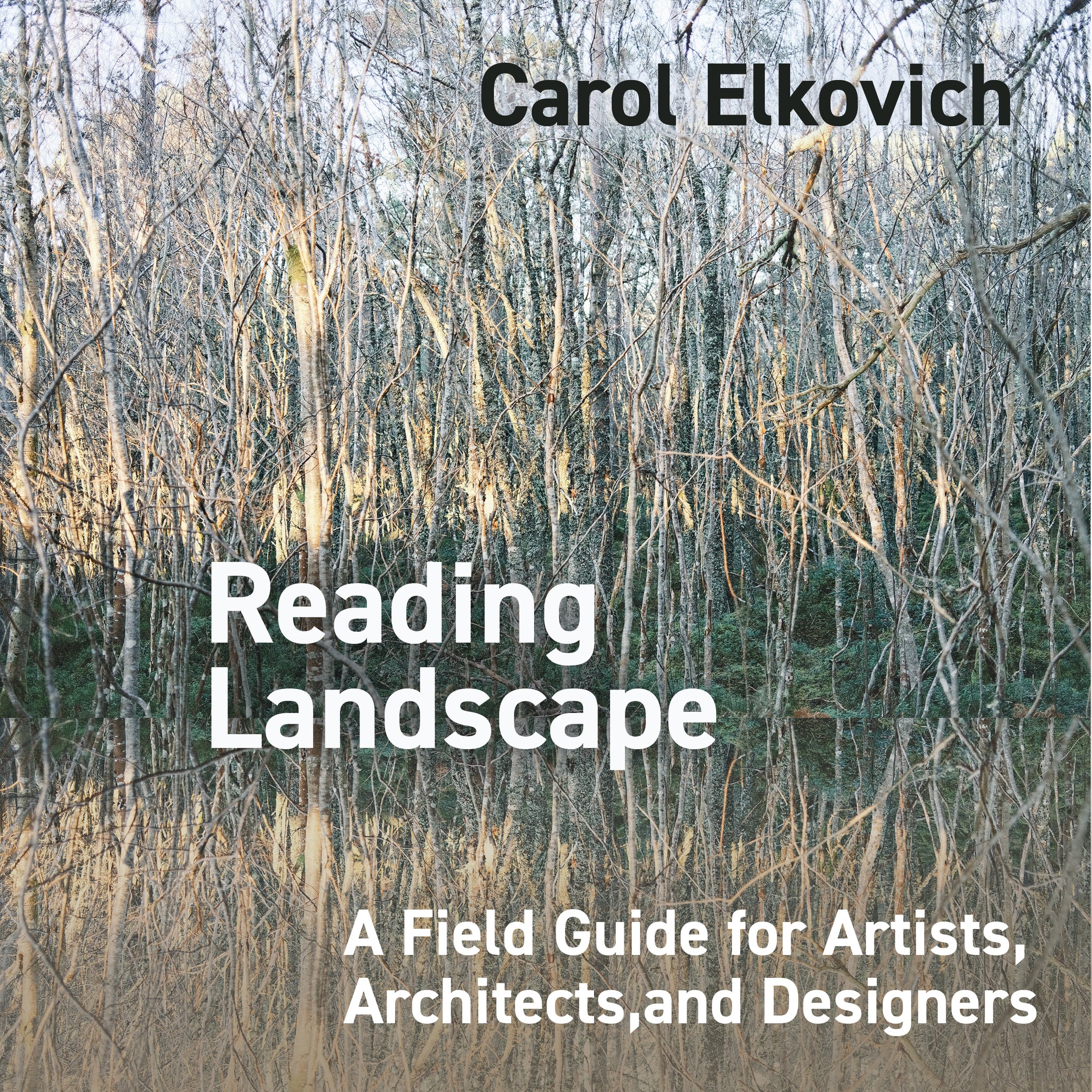 Cover image for Reading Landscape ISBN 9781835953815